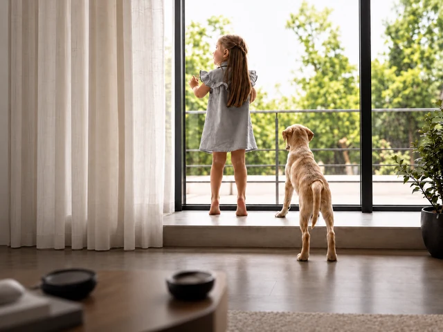 Large fixed glazed living area window with a child and dog looking outside